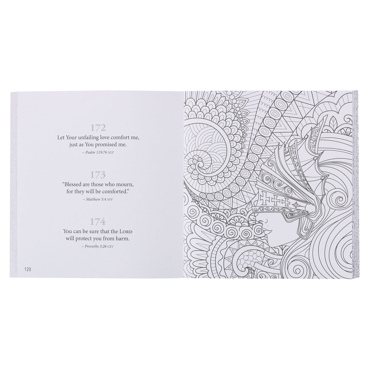365 Promises from God's Word in Color Blue Floral Coloring Book
