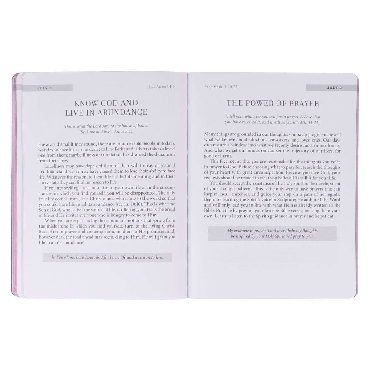 靈修書籍 - New Beginnings New Beginnings Pink Sunshine Field Softcover Devotional Softcover Devotional