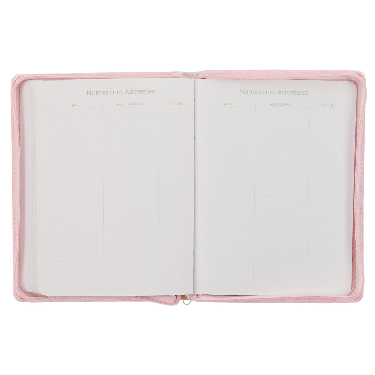 Hope and a Future Pink Faux Leather 2025 Large 18-month Planner for Women - Jeremiah 29:11