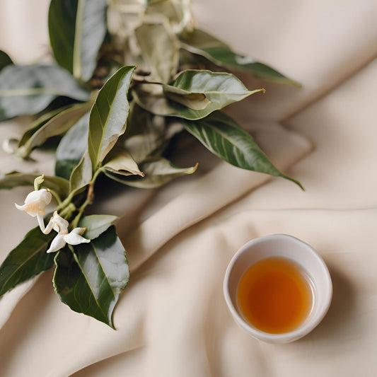 Jasmine Oolong reed diffuser 200ml