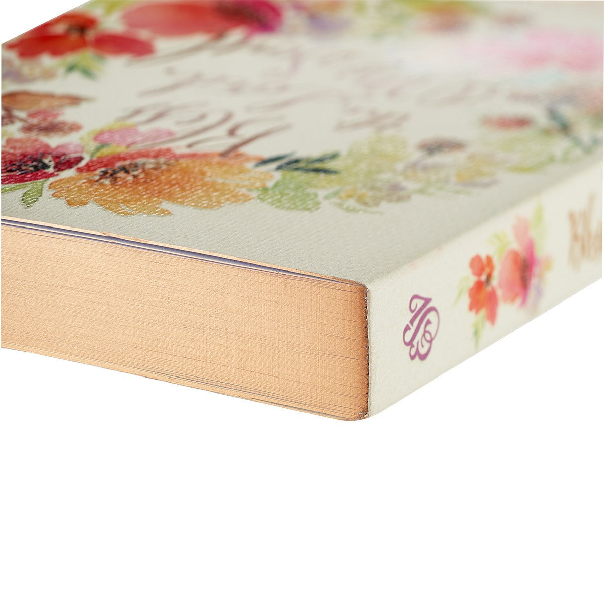 靈修書籍 - Bless the Lord, O My Soul Coloring Devotional - Psalms