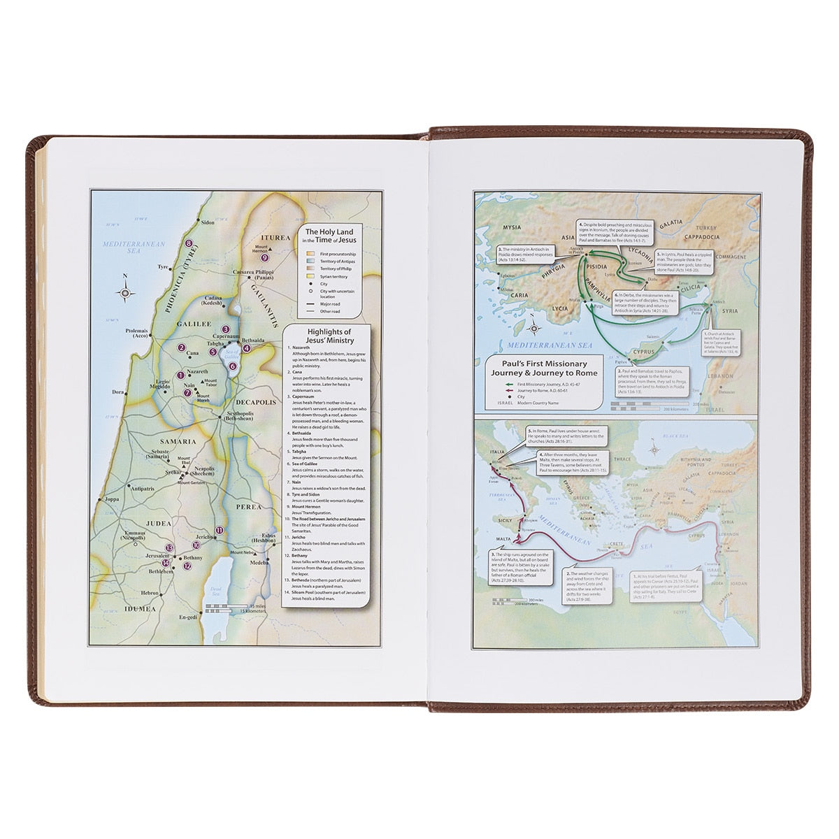 Antiqued Brown Faux Leather Large Print Thinline King James Version Bible with Thumb Index - Image 6