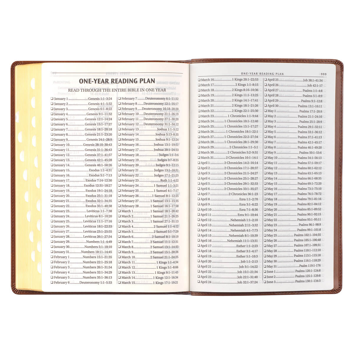 Antiqued Brown Faux Leather Large Print Thinline King James Version Bible with Thumb Index - Image 8