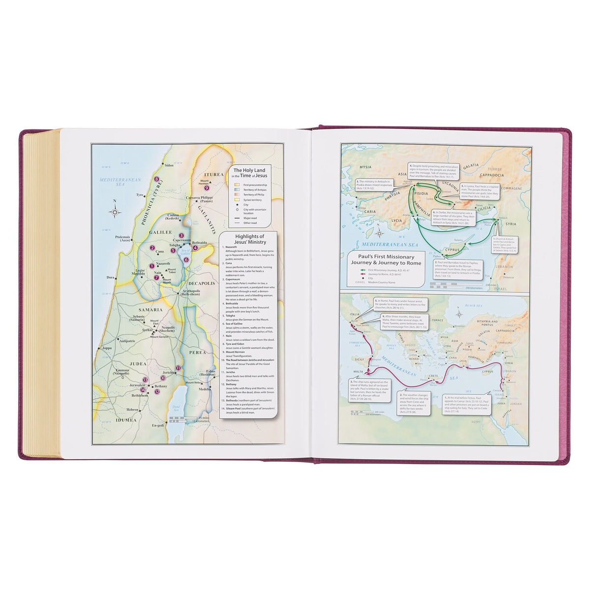 Red Plum Faux Leather Hardcover Large Print King James Version Note-taking Bible - Image 5