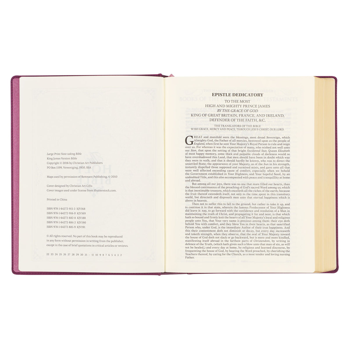 Red Plum Faux Leather Hardcover Large Print King James Version Note-taking Bible - Image 6