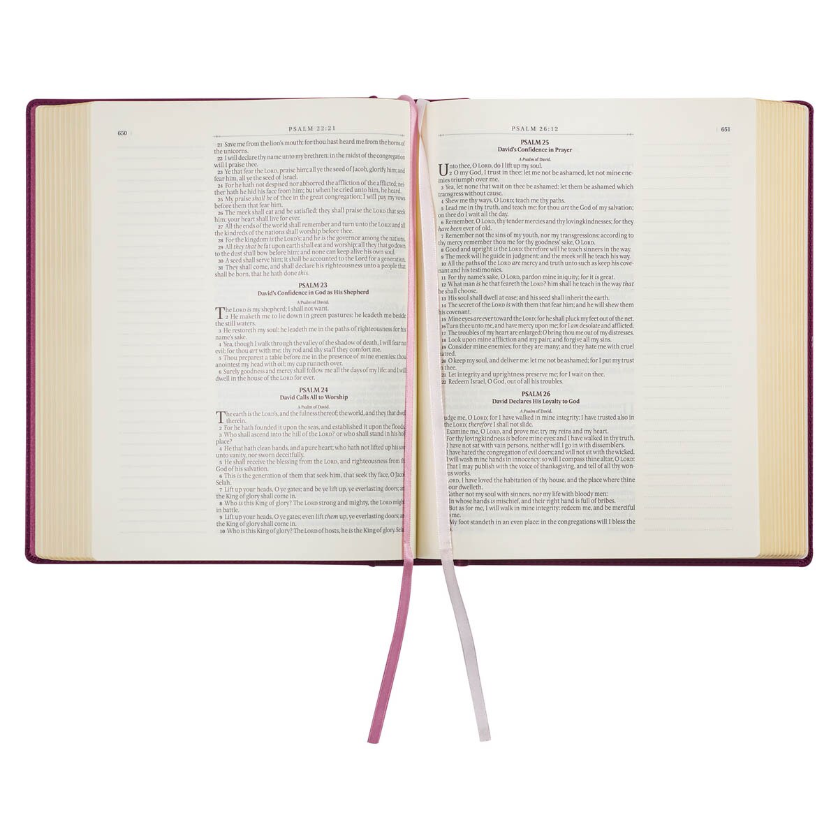 Red Plum Faux Leather Hardcover Large Print King James Version Note-taking Bible - Image 7