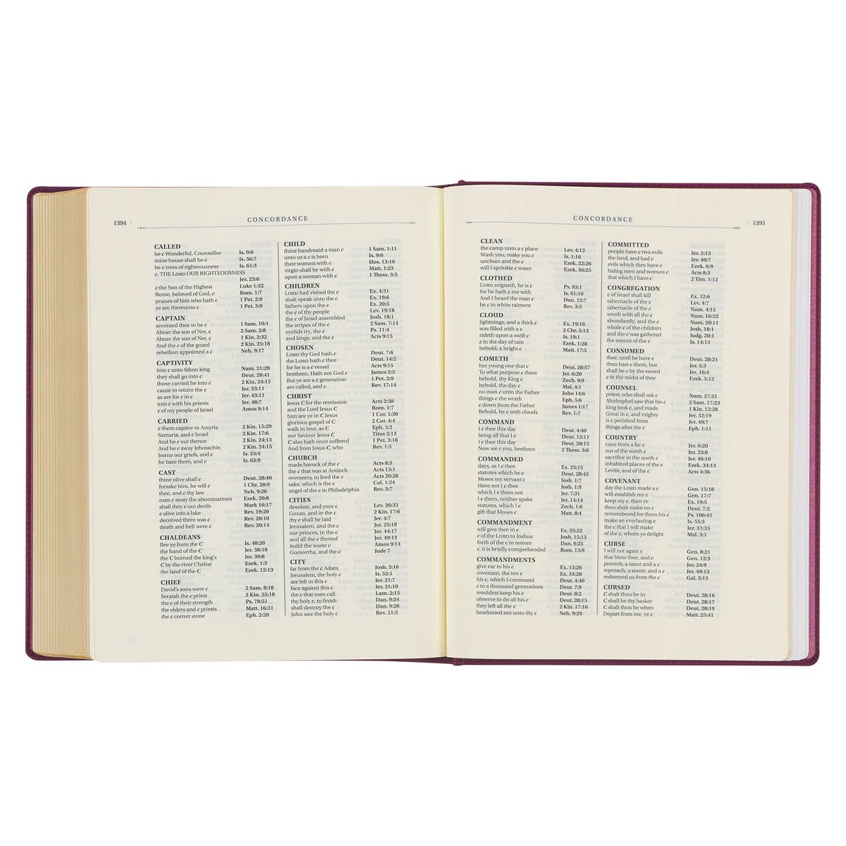 Red Plum Faux Leather Hardcover Large Print King James Version Note-taking Bible - Image 8