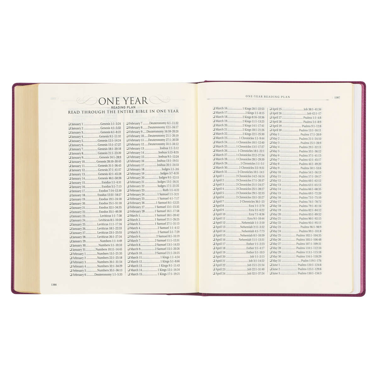 Red Plum Faux Leather Hardcover Large Print King James Version Note-taking Bible - Image 9