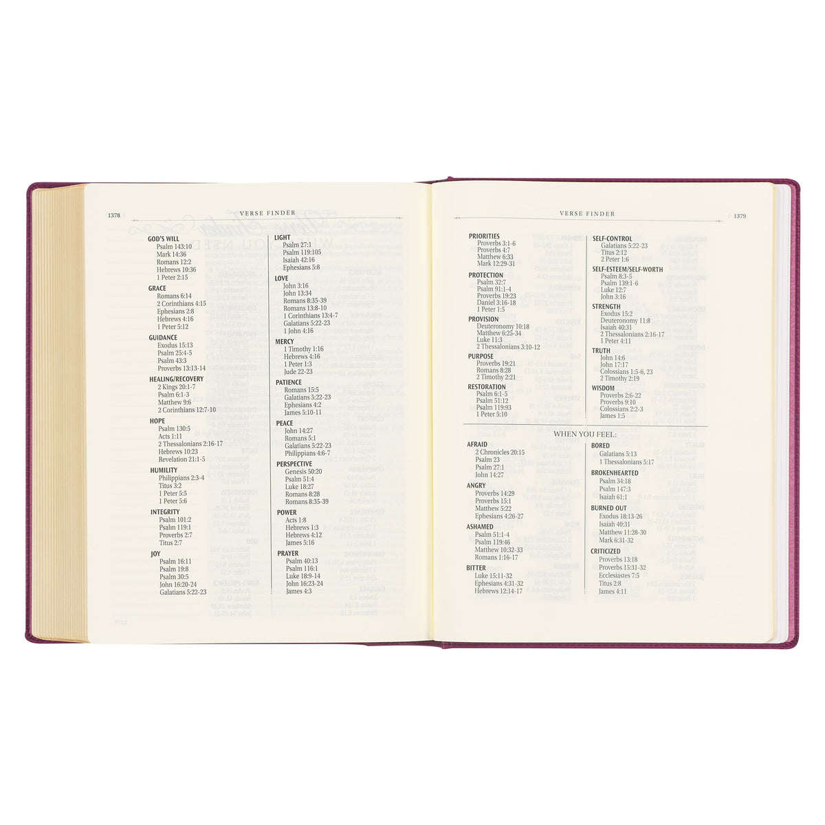 Red Plum Faux Leather Hardcover Large Print King James Version Note-taking Bible - Image 10