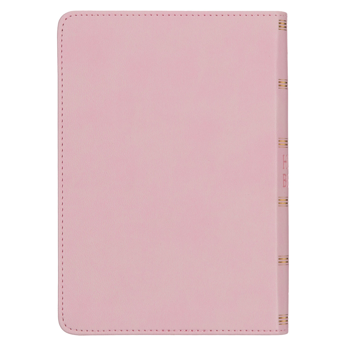 Ballet Pink Large Print Compact King James Version Bible