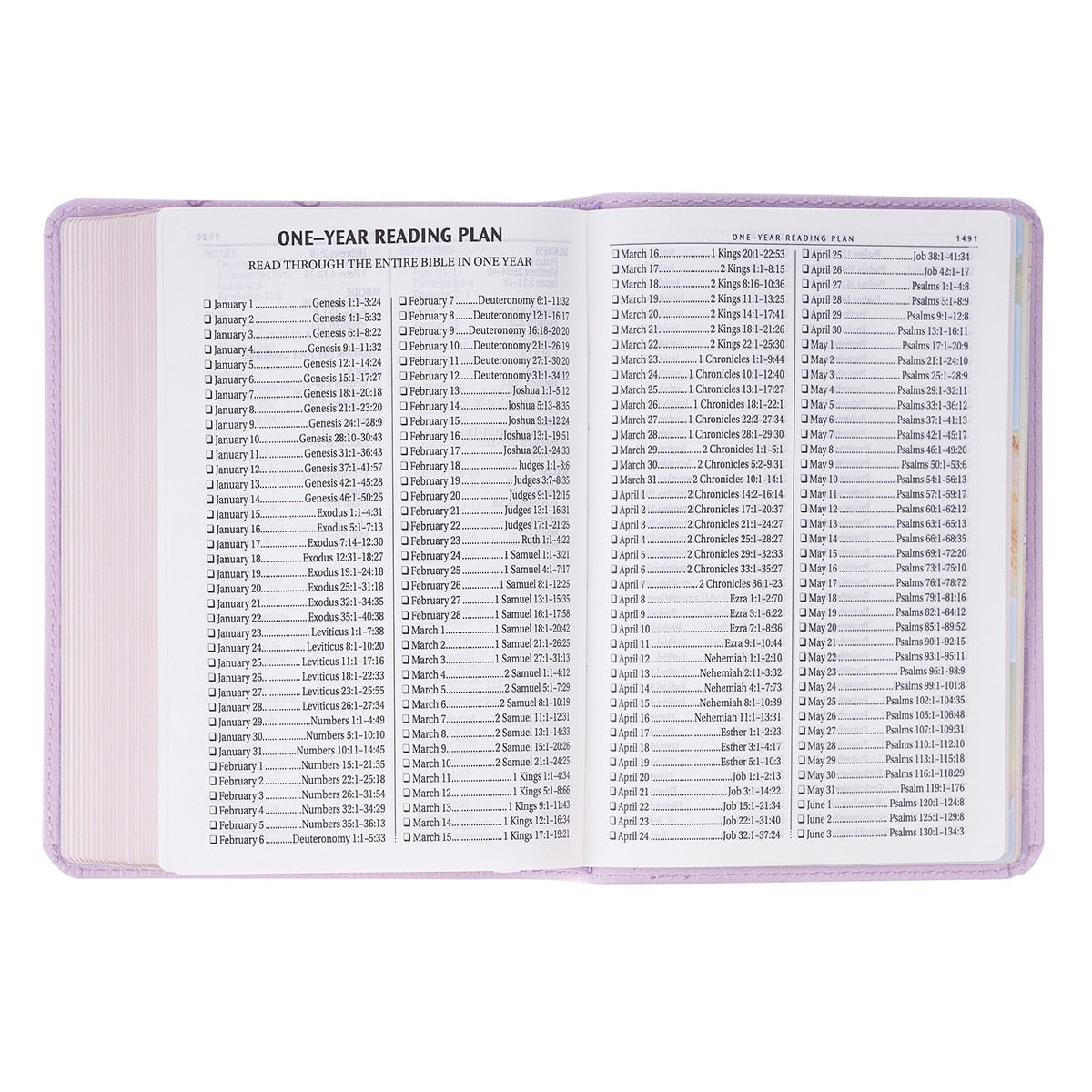 Lavender Bouquet Faux Leather Large Print Compact King James Version Bible - Image 8