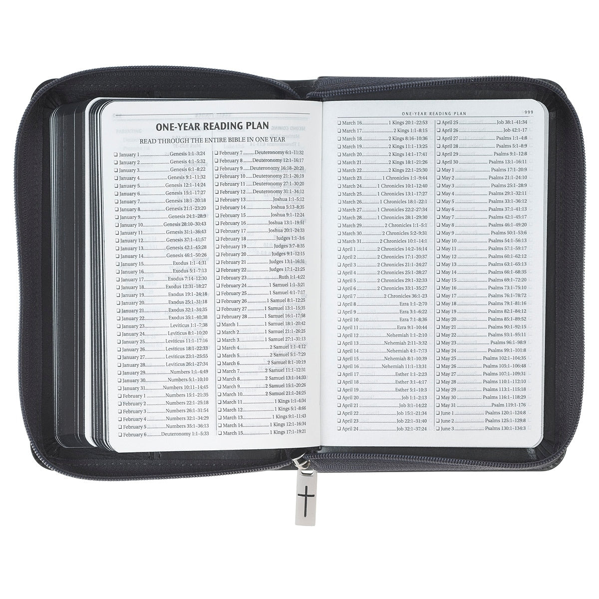 Gray Lion Faux Leather King James Version Pocket Bible with Zipper Closure