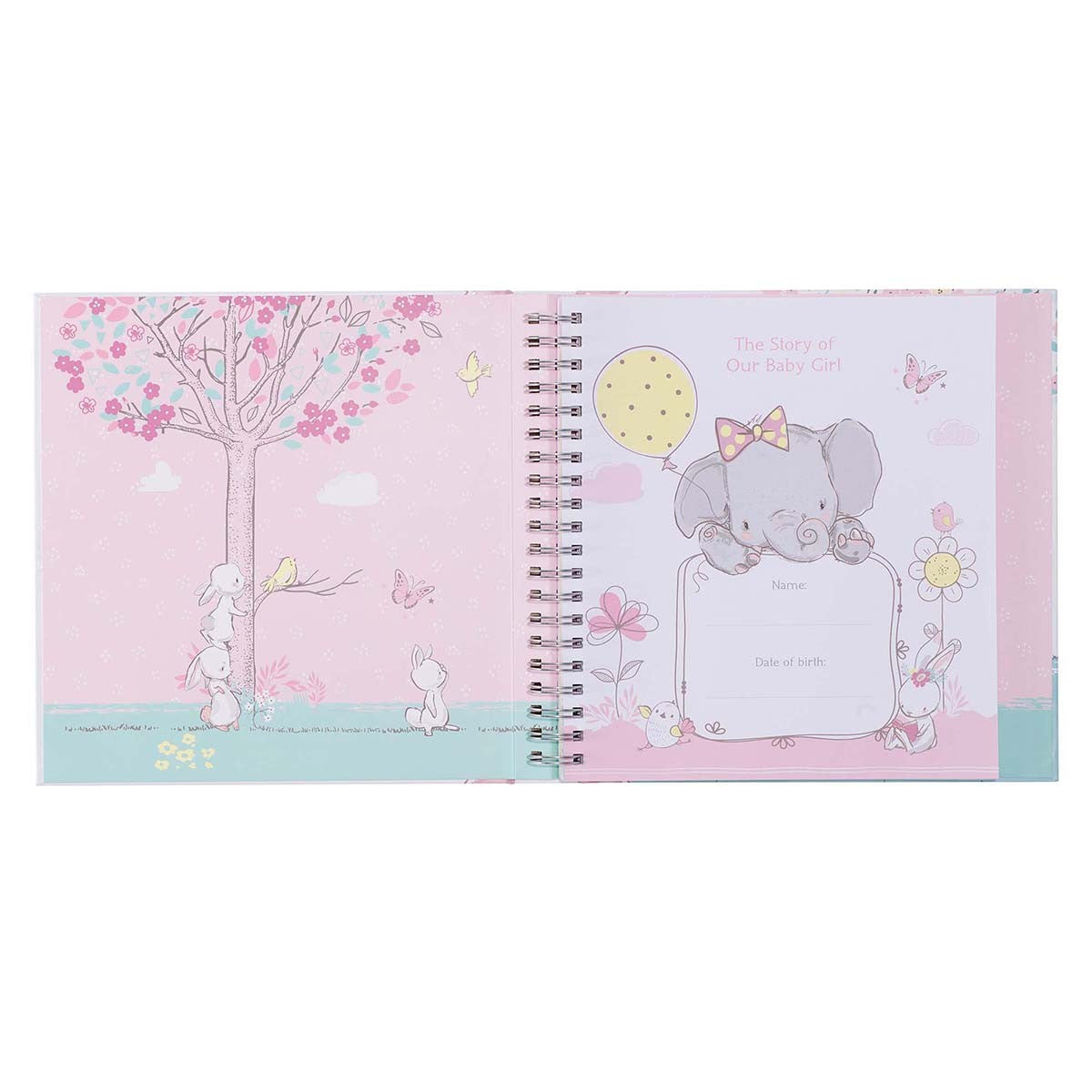 Our Baby Girl's First Year Memory Book