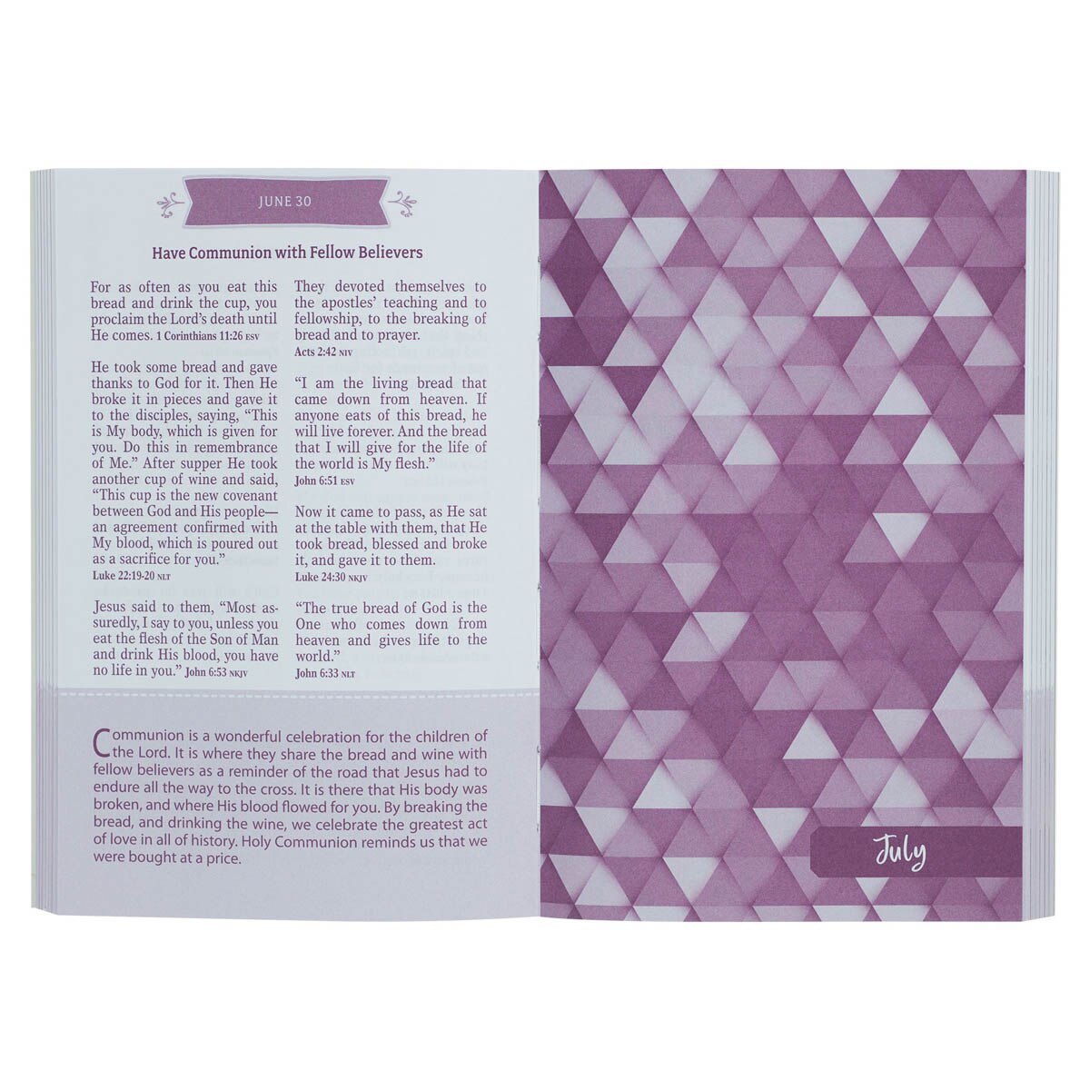 靈修書籍 - Pocket Bible Devotional for Girls in Pink Paperback Edition