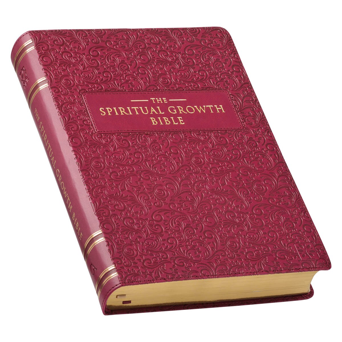 Berry Faux Leather Spiritual Growth Bible - Image 3