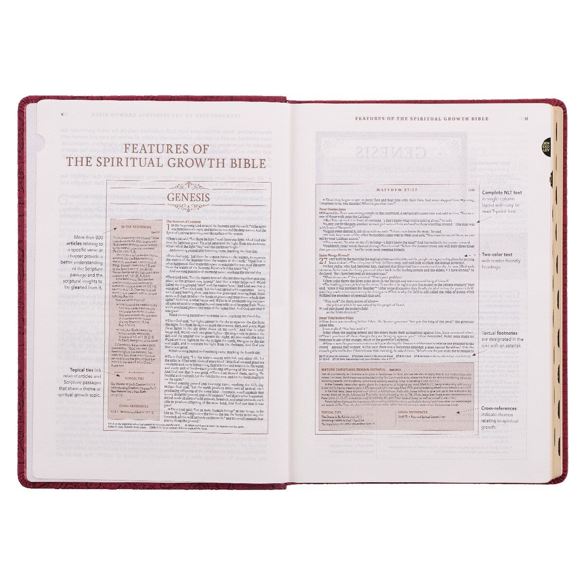 Berry Faux Leather Spiritual Growth Bible - Image 5