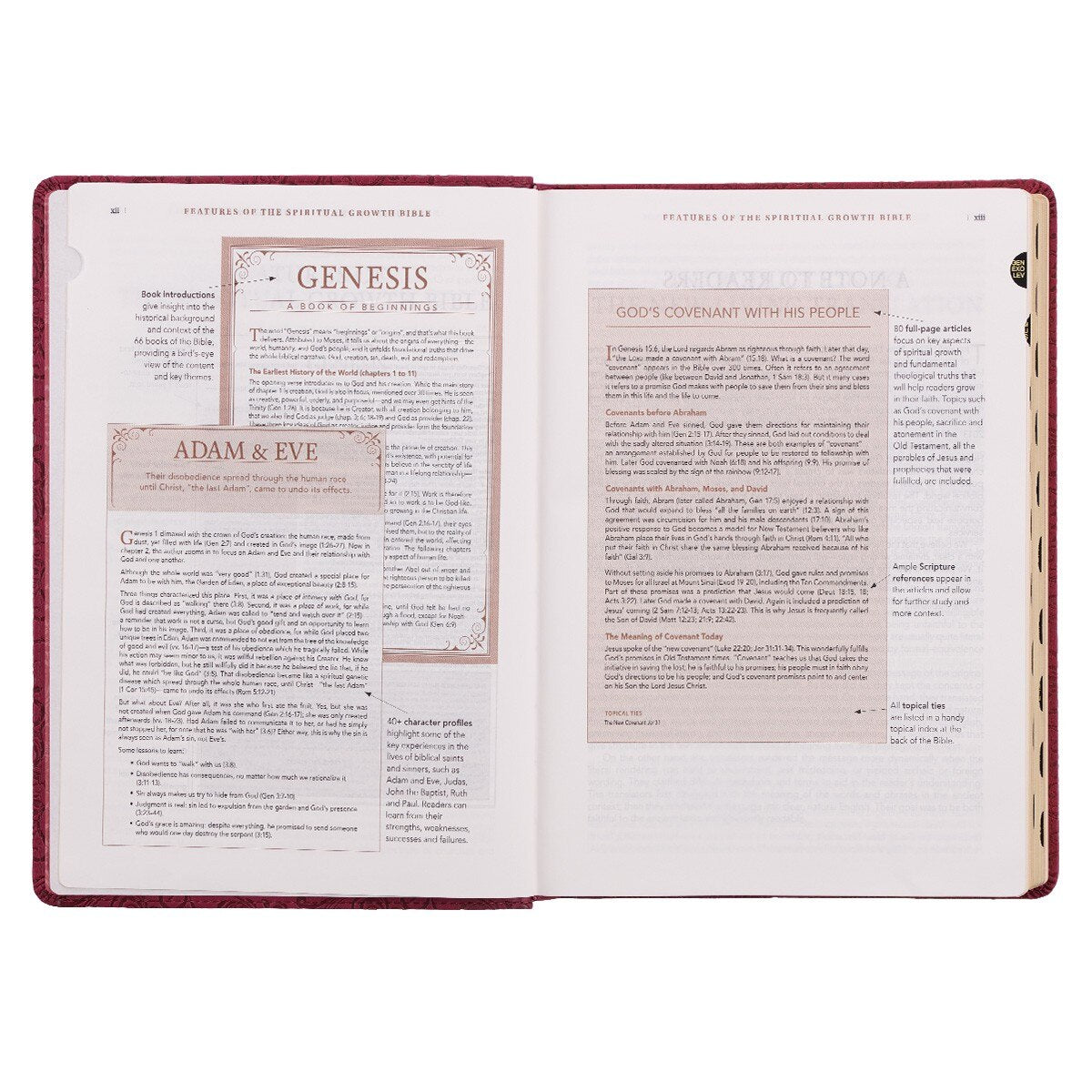 Berry Faux Leather Spiritual Growth Bible - Image 6