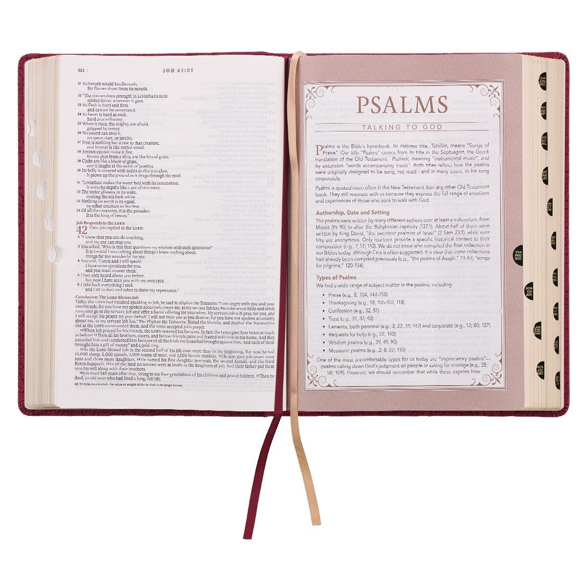 Berry Faux Leather Spiritual Growth Bible - Image 7