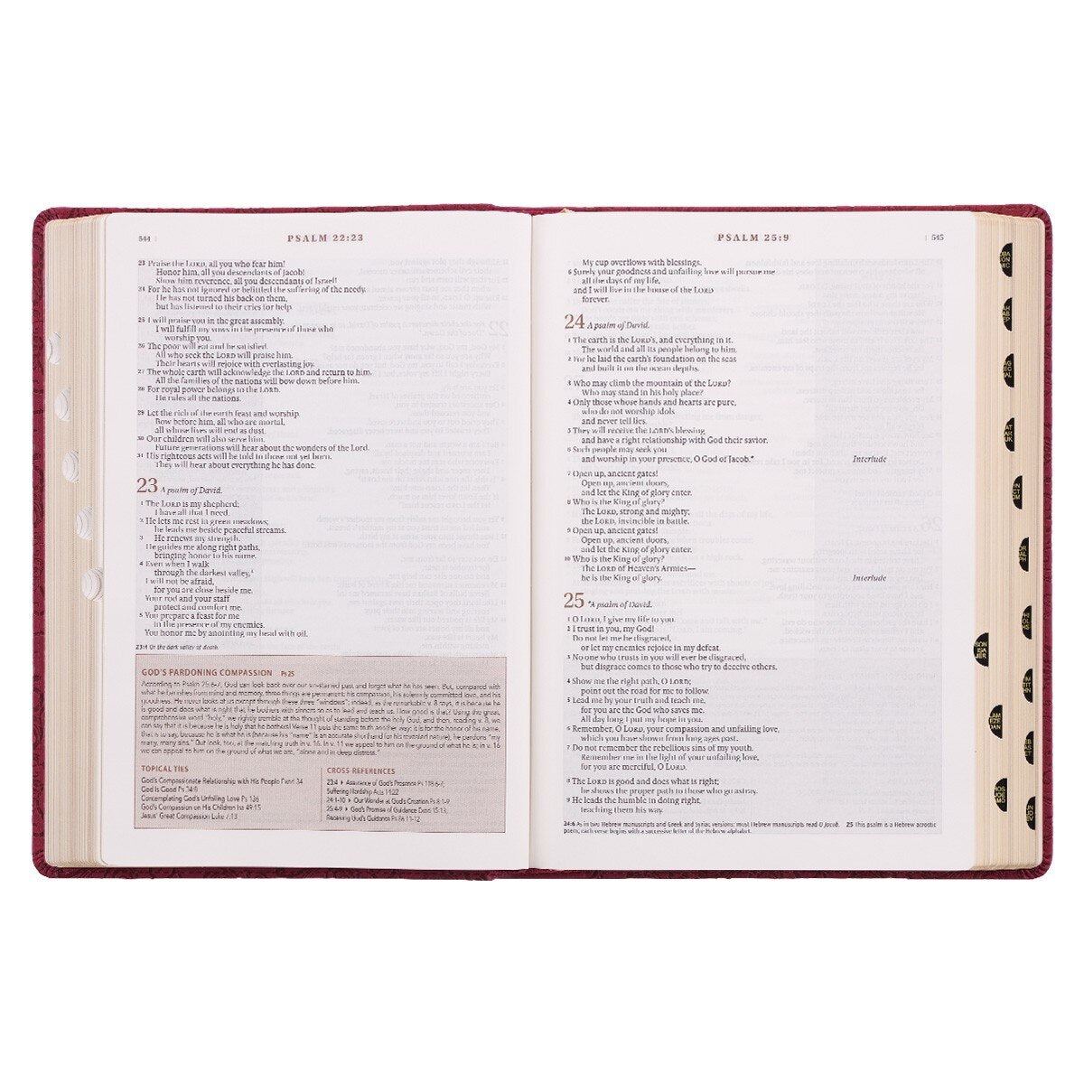 Berry Faux Leather Spiritual Growth Bible - Image 8