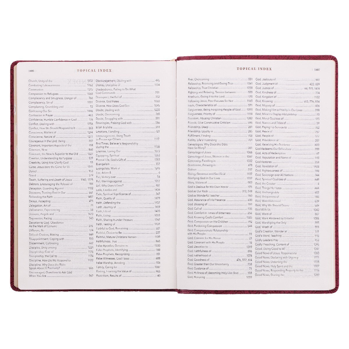 Berry Faux Leather Spiritual Growth Bible - Image 9