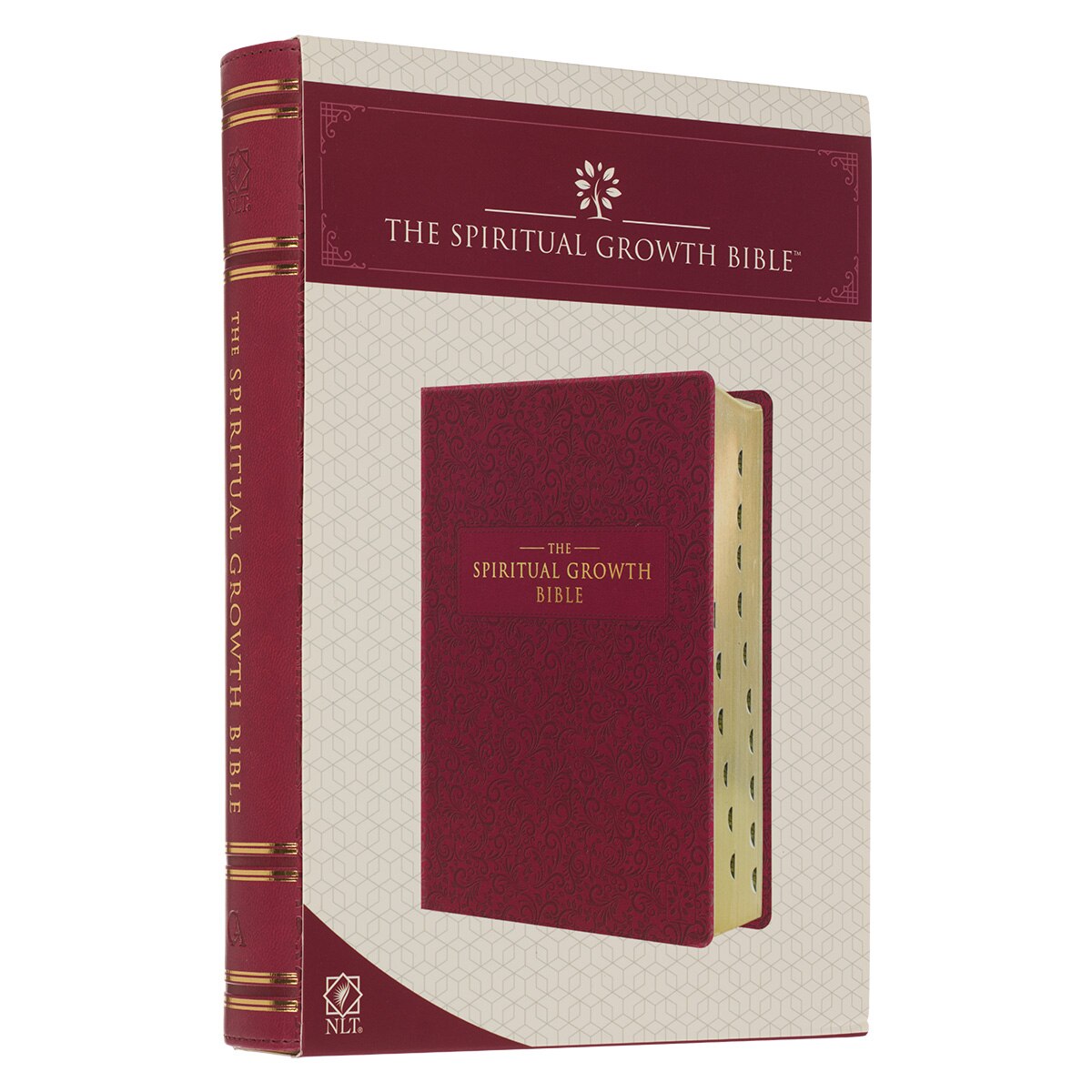 Berry Faux Leather Spiritual Growth Bible - Image 12