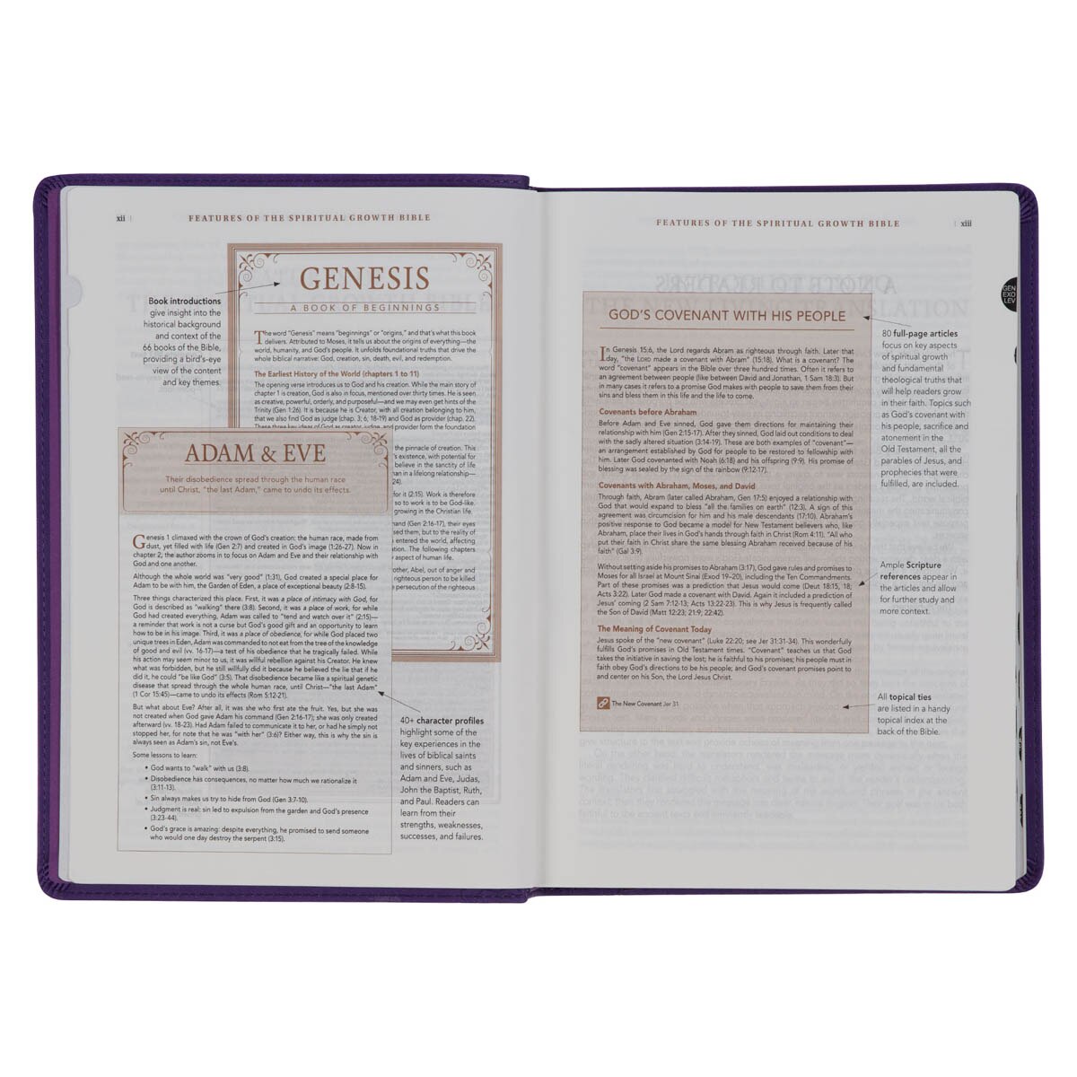 Purple Faux Leather Spiritual Growth Bible - Image 6