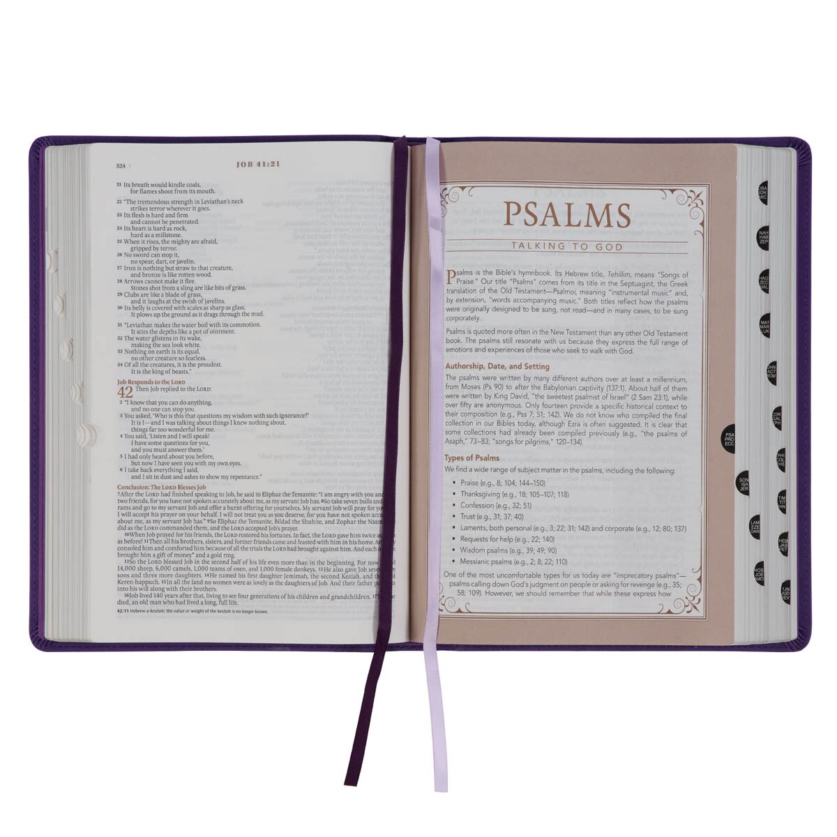 Purple Faux Leather Spiritual Growth Bible - Image 7