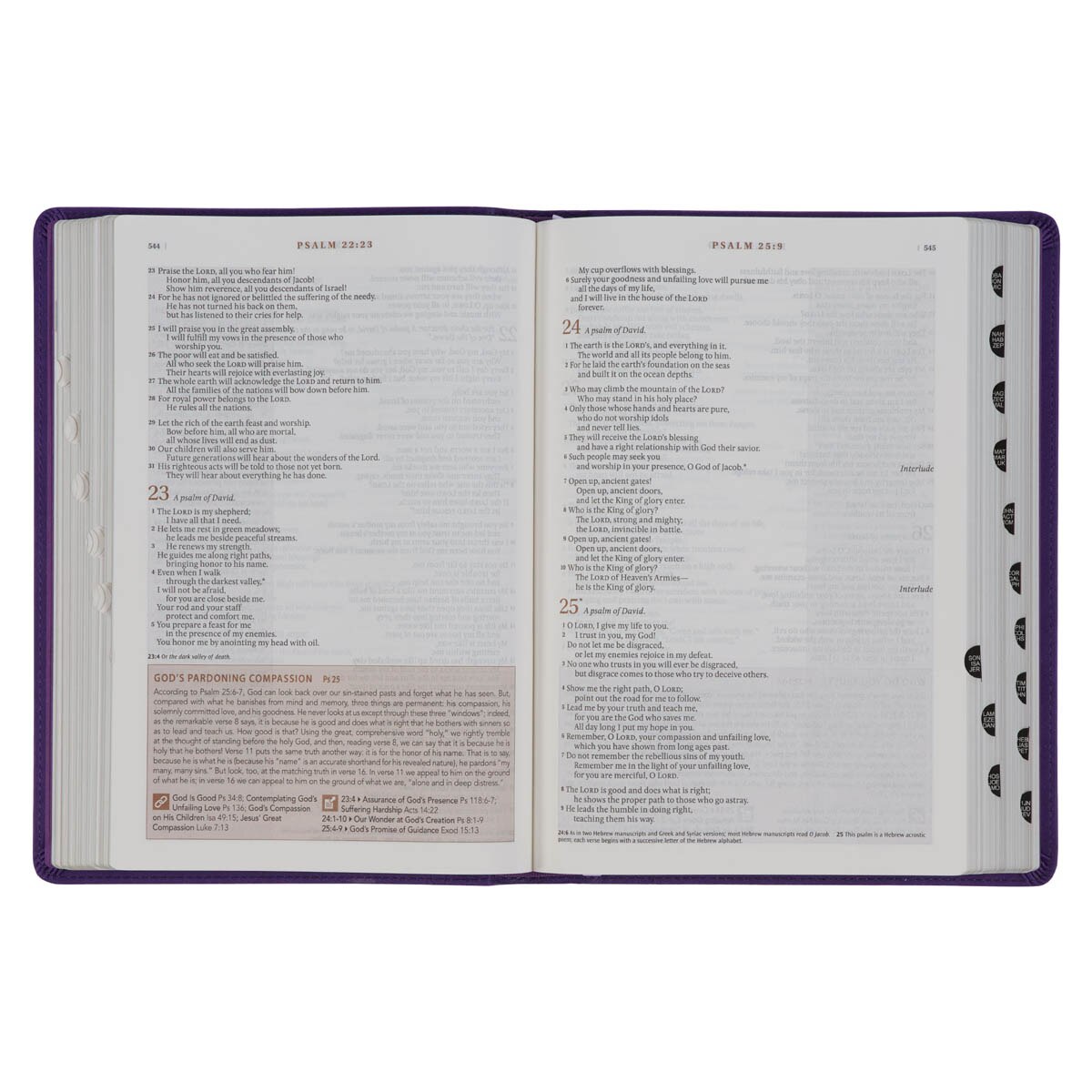 Purple Faux Leather Spiritual Growth Bible - Image 8