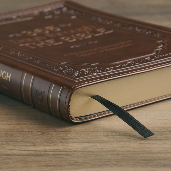 365 Days through the Bible Chestnut Brown Faux Leather Daily Devotional