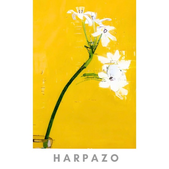 111 EDP Little Cloud Perfume 15ml