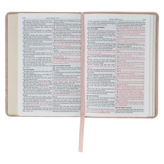Blush Pink Floral Faux Leather Compact King James Version Bible