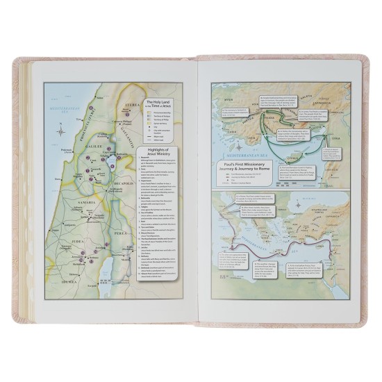 Pale Pink Floral Faux Leather King James Version Deluxe Gift Bible with Thumb Index