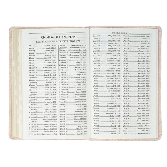 Pale Pink Floral Faux Leather King James Version Deluxe Gift Bible with Thumb Index