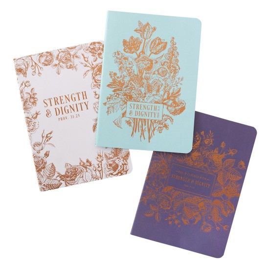 Strength and Dignity Medium Notebook Set in Blues - Proverbs 31:25