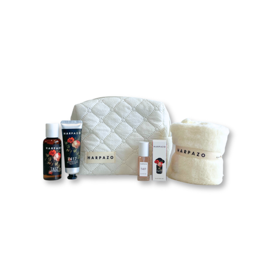 T417 Ready-to-Go Set